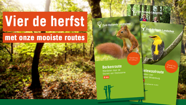 Herfstwandelingen