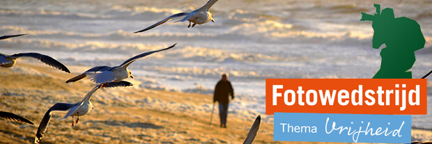 Fotowedstrijd Vogels