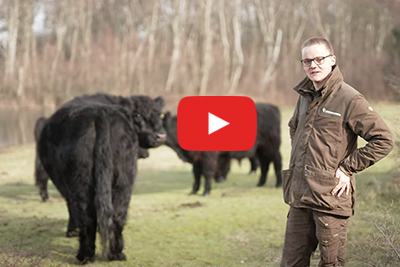 Filmpje: grote grazers