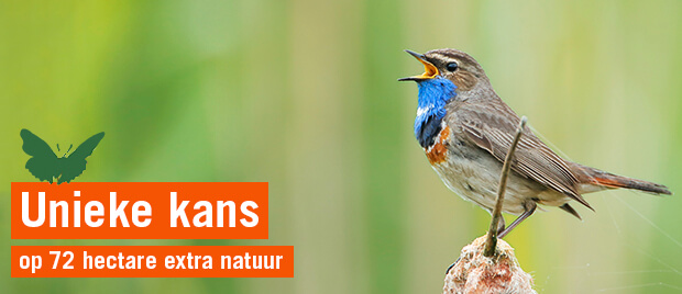 Unieke kans op meer natuur