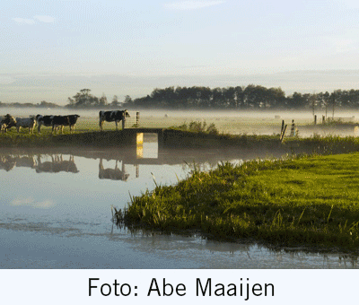 Nieuwe fotoboek tussen licht en donker