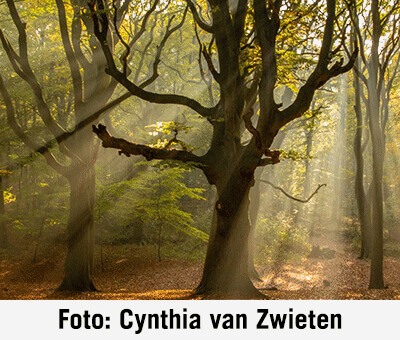 Nieuwe fotoboek tussen licht en donker