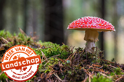Week van het Landschap