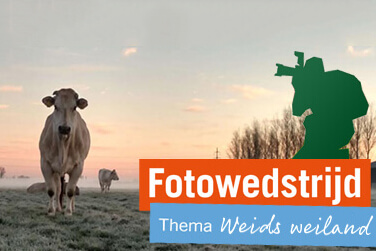 Fotowedstrijd