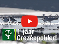 Filmpje Crezéepolder