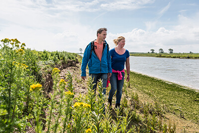 Bonnenpolder
