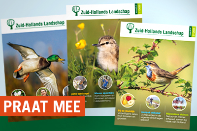 Lezersonderzoek