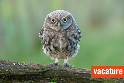 Vacature