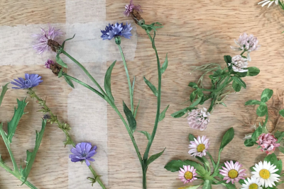Unieke bloemen van papier