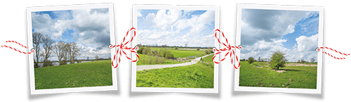 Natuurgebieden aan elkaar knopen