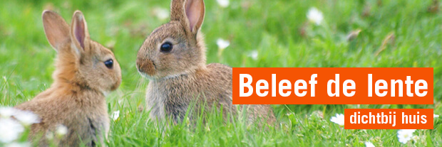 Beleef de lente dichtbijhuis