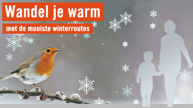 Wandel je warm met de mooiste winterroutes