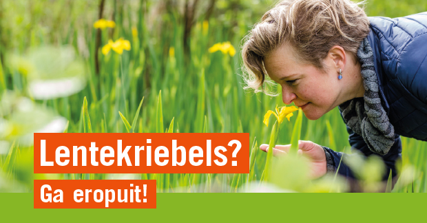 Vijf prachtige lenterondjes