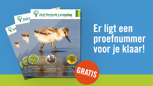 Er ligt een proefnummer voor je klaar