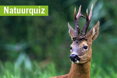 Natuurquiz